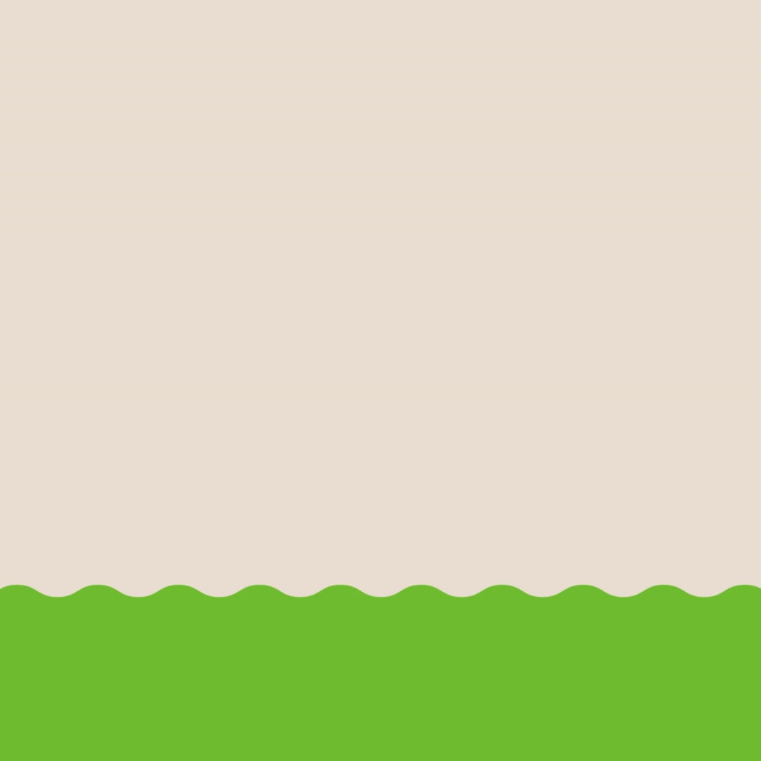 CHILLI & LIME UMAMI SEASONED SALT