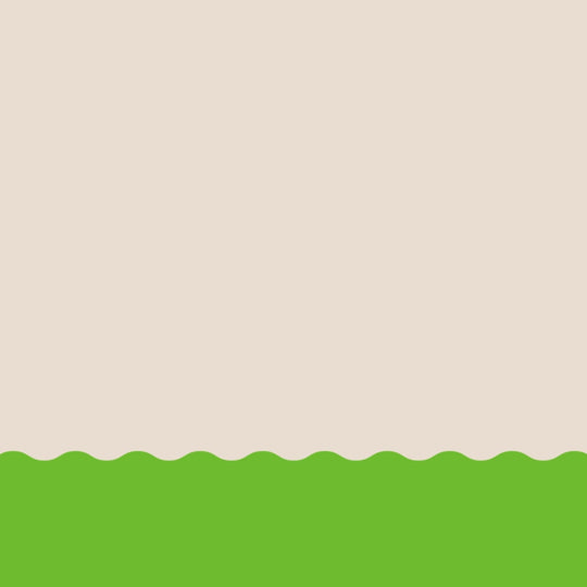 CHILLI & LIME UMAMI SEASONED SALT